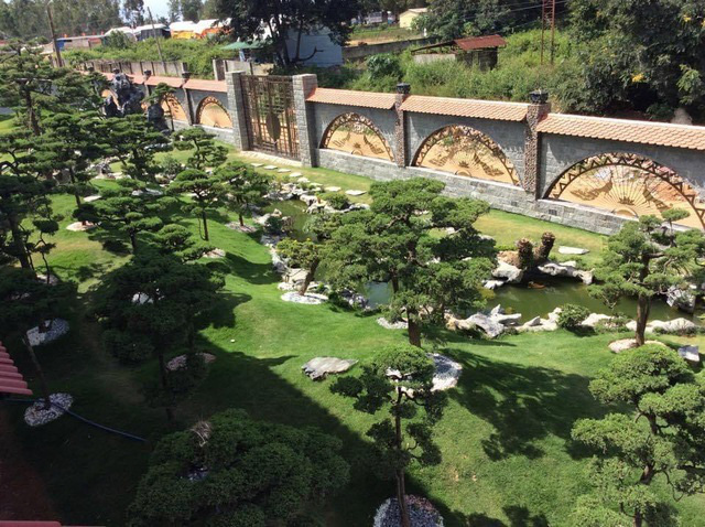 Vườn tùng bạc tỷ rộng 1500m2 trong khuôn viên biệt thự ở Buôn Mê Thuột - Ảnh 2.