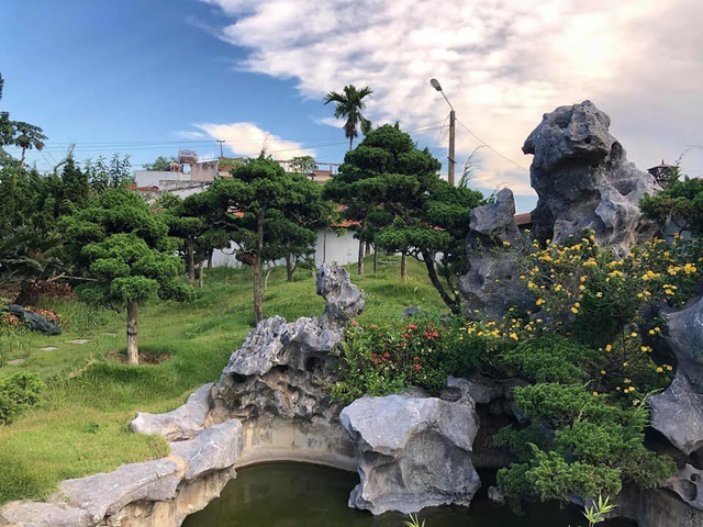 Vườn tùng bạc tỷ rộng 1500m2 trong khuôn viên biệt thự ở Buôn Mê Thuột - Ảnh 3.