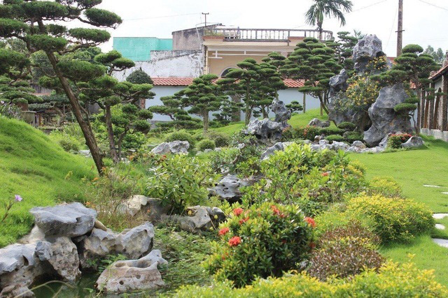 Vườn tùng bạc tỷ rộng 1500m2 trong khuôn viên biệt thự ở Buôn Mê Thuột - Ảnh 9.