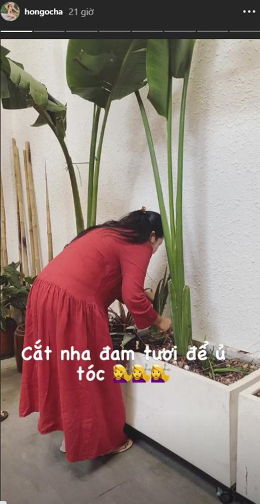 Học Hồ Ngọc Hà ủ tóc với nguyên liệu rẻ tiền, vừa dễ kiếm vừa chăm tóc đẹp đỉnh cao - Ảnh 8. Học Hồ Ngọc Hà ủ tóc với nguyên liệu rẻ tiền, vừa dễ kiếm vừa chăm tóc đẹp đỉnh cao - Ảnh 8.