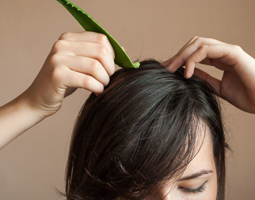Học Hồ Ngọc Hà ủ tóc với nguyên liệu rẻ tiền, vừa dễ kiếm vừa chăm tóc đẹp đỉnh cao - Ảnh 10.