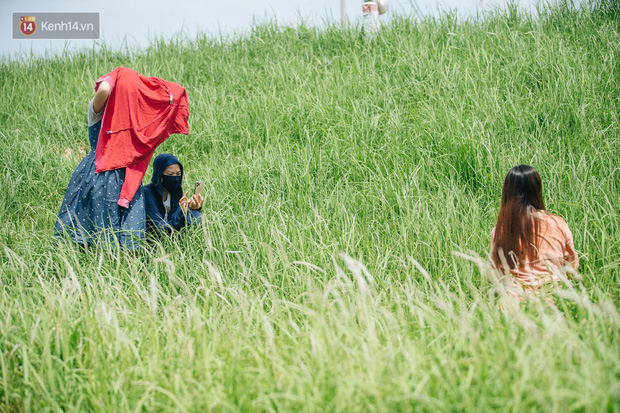 Triền đê cỏ tranh trắng muốt ở Bắc Từ Liêm trở thành điểm chụp ảnh check-in thu hút người dân Hà Nội - Ảnh 11.