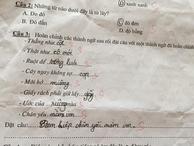 Bài tập tiếng Việt đơn giản nhưng cô bé lại đưa ra đáp án bất ngờ khiến dân tình cười ngả nghiêng: Trẻ con đúng là không biết nói dối! - Ảnh 4.