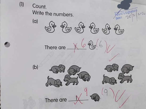 Cô giáo yêu cầu đếm hình, học trò lớp 1 đưa ra đáp án 3 vịt - 1 chó liền bị gạch nhưng vẫn được rần rần khen ngợi - Ảnh 1.