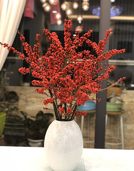 Kinh tế điêu đứng vì COVID nhưng dân Việt vẫn vung tiền mua đào đông đỏ nguyên cây về chơi Tết - Ảnh 9. Kinh tế điêu đứng vì COVID nhưng dân Việt vẫn vung tiền mua đào đông đỏ nguyên cây về chơi Tết - Ảnh 9.