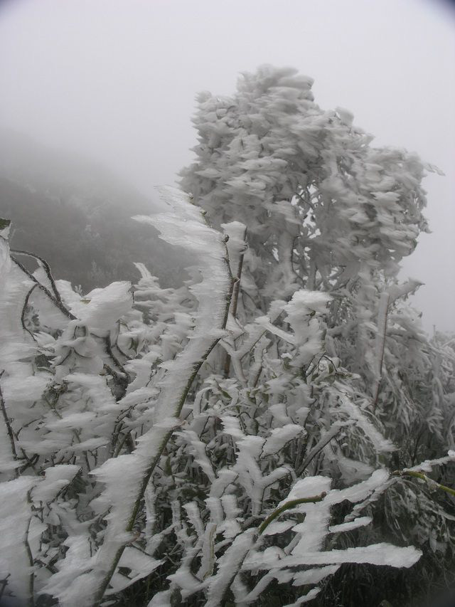 Băng tuyết phủ trắng núi rừng, hình ảnh ngỡ như chỉ có trong cổ tích - Ảnh 3.