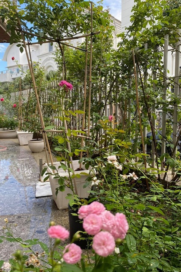 Biệt thự đầy hoa của diễn viên Quý Bình và bà xã doanh nhân - Ảnh 9.