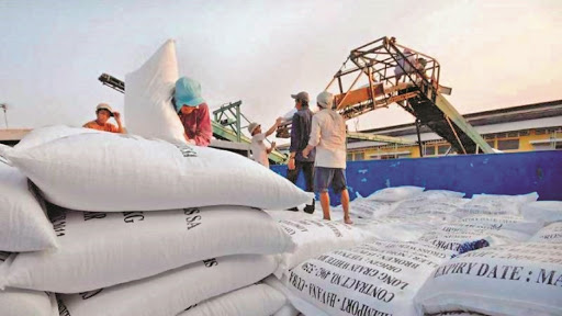 Việt Nam có hơn 200 doanh nghiệp đủ điều kiện xuất khẩu gạo - Ảnh 2.