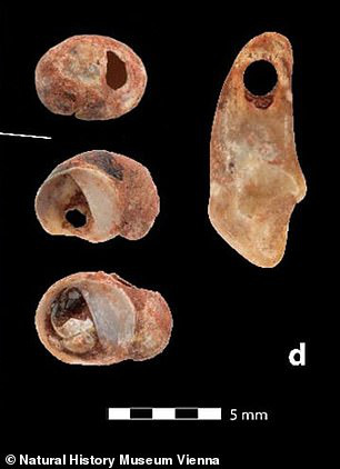 Phát hiện 2 bộ hài cốt em bé nhỏ xíu nhuốm màu đỏ máu, các nhà khoa học sửng sốt khi biết câu chuyện sinh đôi cùng trứng từ 30.000 năm trước - Ảnh 4.