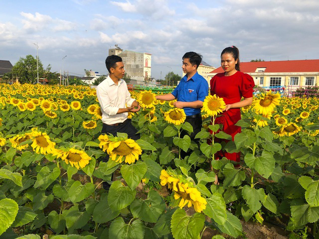 Bỏ việc công ty, chàng trai 9x khởi nghiệp với cánh đồng hoa mặt trời - Ảnh 5.