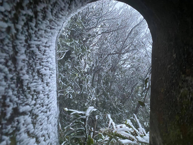 Sáng nay đỉnh Mẫu Sơn, Phia Oắc cây cối đóng băng, nhiều du khách thích thú chụp ảnh check in - Ảnh 5.