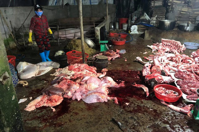 Kinh hãi cảnh bò bị bơm nước, giết thịt trên nền nhà dơ bẩn - Ảnh 2. Kinh hãi cảnh bò bị bơm nước, giết thịt trên nền nhà dơ bẩn - Ảnh 2.