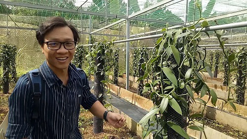 Trồng c&acirc;y lạ, 4 năm mới ra hoa, hoa chỉ nở 1 ng&agrave;y, 9 th&aacute;ng tr&aacute;i mới ch&iacute;n b&aacute;n đắt như v&agrave;ng - Ảnh 2.