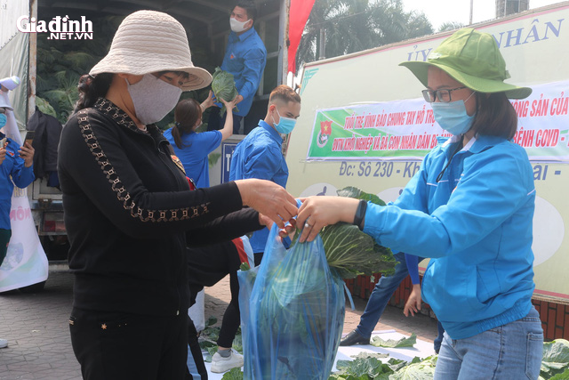 Hải Phòng: Người nông dân mừng phát khóc vì “giải cứu” được nông sản trong dịch COVID-19 - Ảnh 8.