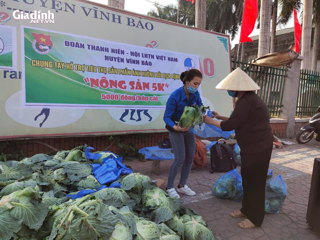 Hải Phòng: Người nông dân mừng phát khóc vì “giải cứu” được nông sản trong dịch COVID-19 - Ảnh 9.