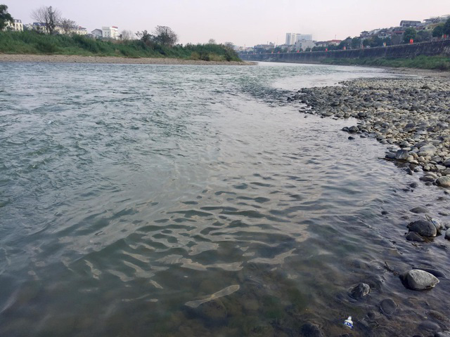 Nước sông Hồng bất ngờ đổi màu trong xanh như ngọc - Ảnh 3.