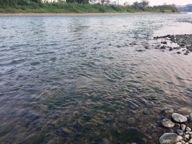 Nước sông Hồng bất ngờ đổi màu trong xanh như ngọc - Ảnh 6.