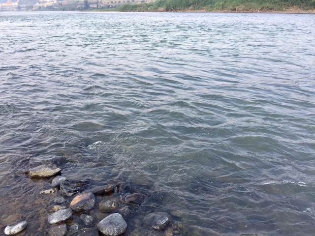 Nước sông Hồng bất ngờ đổi màu trong xanh như ngọc - Ảnh 8.