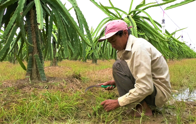 Đến trường trên đôi chân của mẹ - Ảnh 4.