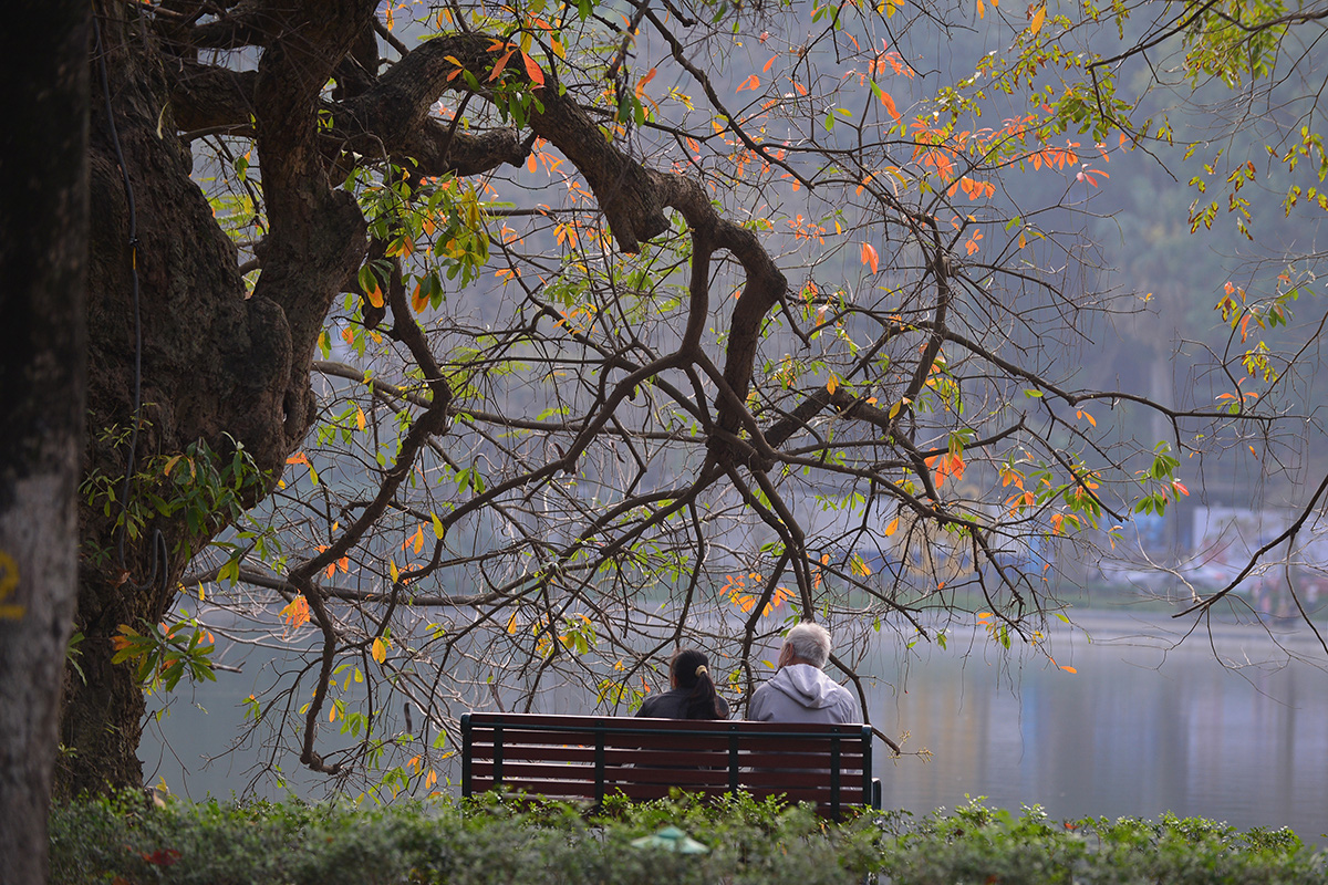 Khung cảnh hồ Gươm đẹp thơ mộng và cổ kính trong mùa cây thay lá