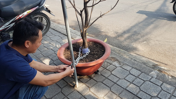 Gắn camera, x&iacute;ch gốc c&acirc;y kiểng... chống trộm - Ảnh 1.