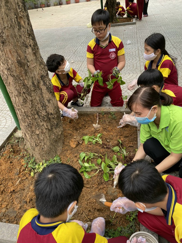 Những bài tập truyền cảm hứng cho học sinh - Ảnh 3.