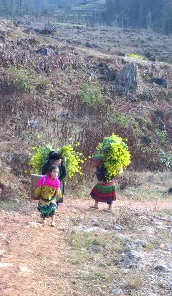 Mùa này đến miền đá nở hoa, không cần tạo dáng cũng dễ dàng có ảnh đẹp ngất ngây nuôi facebook - Ảnh 9.