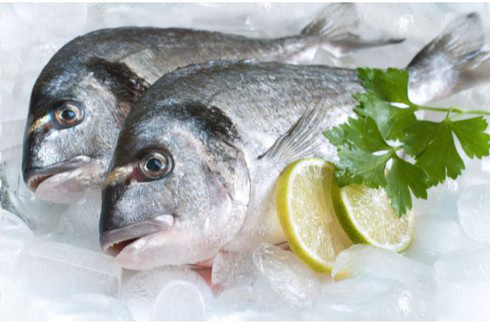 Đây là thời hạn bạn có thể bảo quản cá tươi và cá đã nấu chín trong tủ lạnh - Ảnh 1.