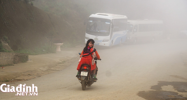 Lên đỉnh Tà Xùa săn mây - Ảnh 1.