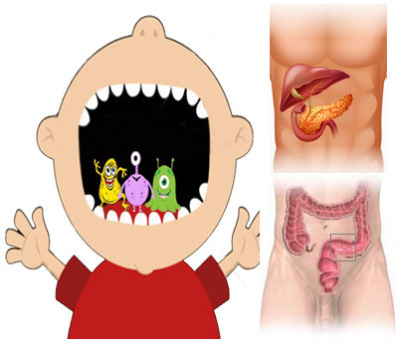 2 loại vi khuẩn trong miệng có thể là động lực của ung thư đại trực tràng và ung thư tuyến tụy, người bị bệnh nha chu càng cần chú ý - Ảnh 1.