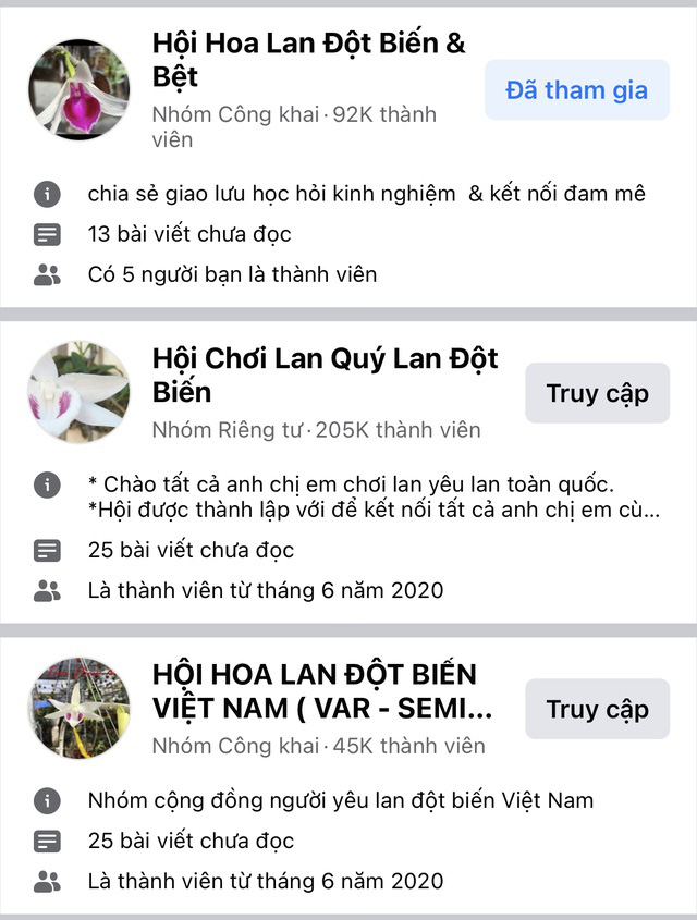 Những lời kêu cứu, khóc ròng của thượng đế về bông lan đột biến bạc tỷ - Ảnh 1.