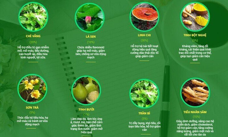 Bị thu hồi giấy ph&eacute;p, c&ocirc;ng ty giải thể, Thảo mộc giảm b&eacute;o Cenly vẫn ngang nhi&ecirc;n quảng c&aacute;o b&agrave;y b&aacute;n - Ảnh 2.