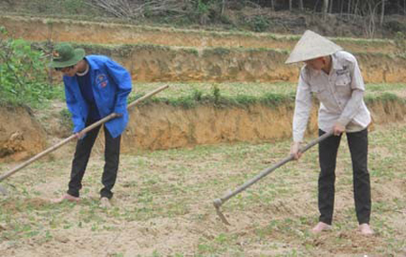 Thí sinh nghèo và giấc mơ đại học: Người chạm vào, người tuột khỏi tầm tay 6