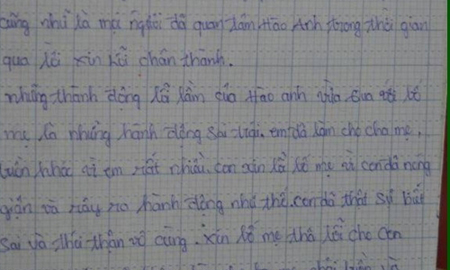 Cộng đồng mạng nghi ngờ c&oacute; người "cầm tay chỉ đường" cho H&agrave;o Anh viết thư xin lỗi bố mẹ  2
