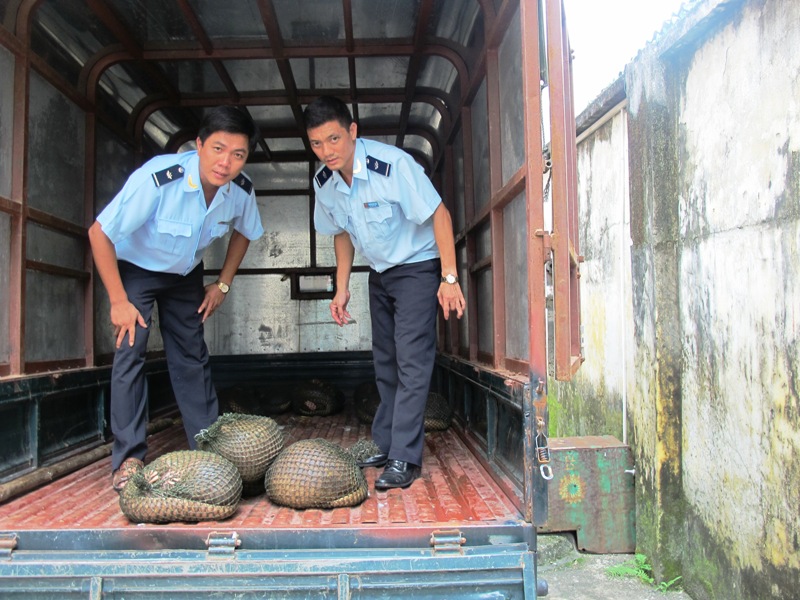Quảng Ninh: Chặn đứng vụ vận chuyển 41 cá thể tê tê qua biên giới 1