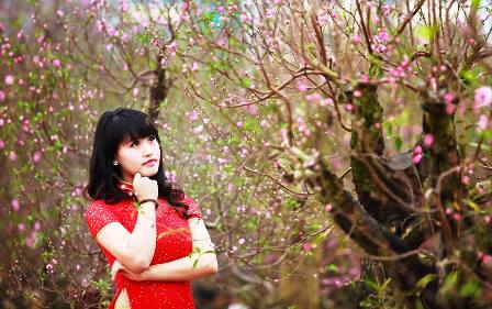 Thiếu nữ v&ugrave;ng than đẹp rạng rỡ b&ecirc;n sắc hoa xu&acirc;n 16