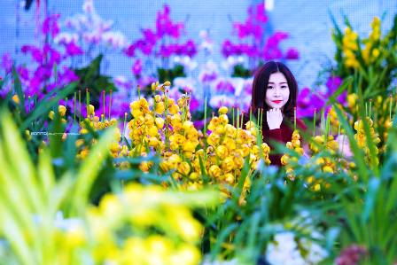 Thiếu nữ vùng than đẹp rạng rỡ bên sắc hoa xuân 14