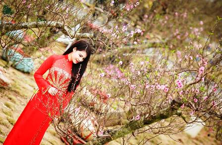 Thiếu nữ v&ugrave;ng than đẹp rạng rỡ b&ecirc;n sắc hoa xu&acirc;n 10