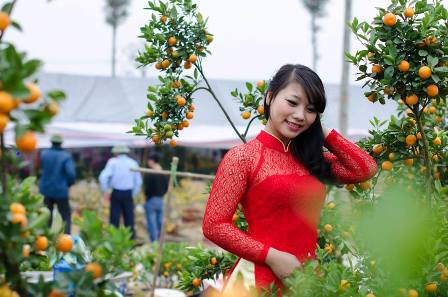 Thiếu nữ v&ugrave;ng than đẹp rạng rỡ b&ecirc;n sắc hoa xu&acirc;n 7