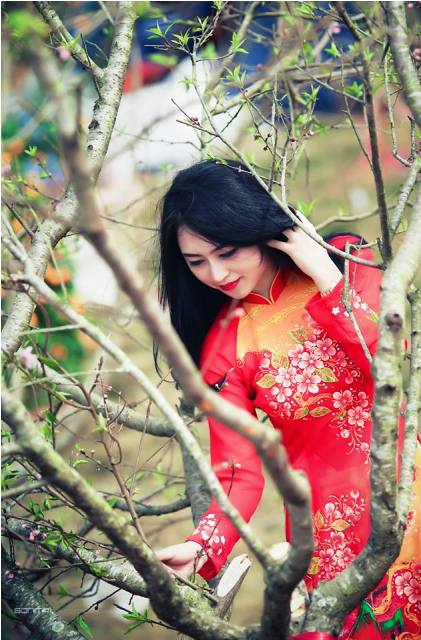 Thiếu nữ v&ugrave;ng than đẹp rạng rỡ b&ecirc;n sắc hoa xu&acirc;n 1