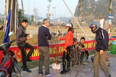 Quảng Ninh: Người d&acirc;n kinh doanh hoa xu&acirc;n "tho&aacute;t hiểm" ngoạn mục 10