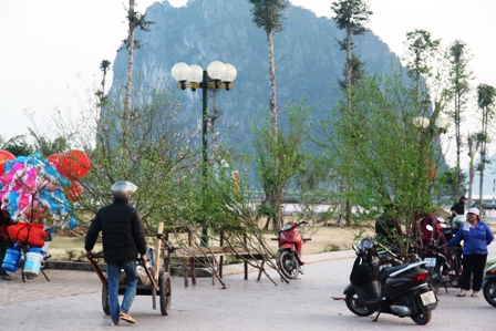 Quảng Ninh: Người d&acirc;n kinh doanh hoa xu&acirc;n "tho&aacute;t hiểm" ngoạn mục 14