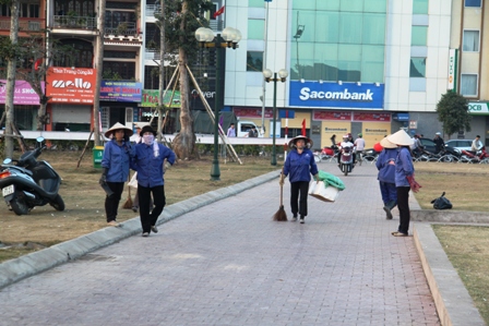 Quảng Ninh: Người d&acirc;n kinh doanh hoa xu&acirc;n "tho&aacute;t hiểm" ngoạn mục 15