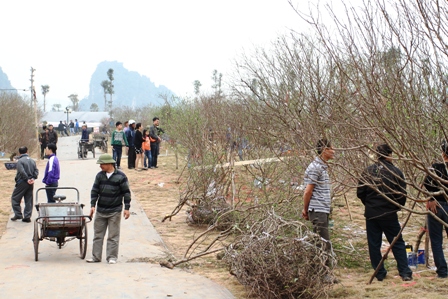 Quảng Ninh: Người d&acirc;n kinh doanh hoa xu&acirc;n "tho&aacute;t hiểm" ngoạn mục 4