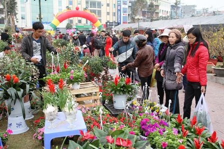 Quảng Ninh: Người d&acirc;n kinh doanh hoa xu&acirc;n "tho&aacute;t hiểm" ngoạn mục 7