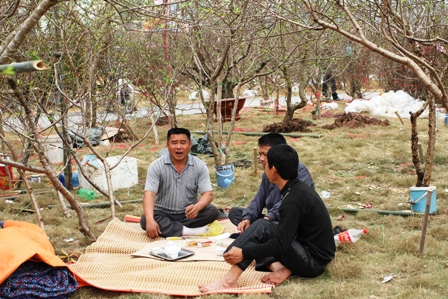 Quảng Ninh: Người d&acirc;n kinh doanh hoa xu&acirc;n "tho&aacute;t hiểm" ngoạn mục 6