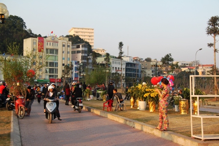 Quảng Ninh: Người d&acirc;n kinh doanh hoa xu&acirc;n "tho&aacute;t hiểm" ngoạn mục 8