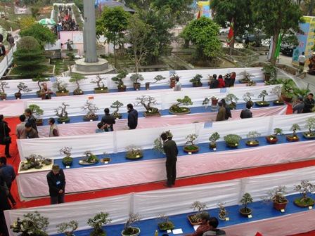 Cận cảnh những c&acirc;y Bonsai "độc" tại Y&ecirc;n Tử 2