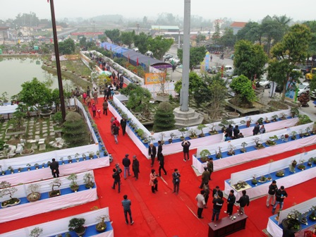 Cận cảnh những c&acirc;y Bonsai "độc" tại Y&ecirc;n Tử 1