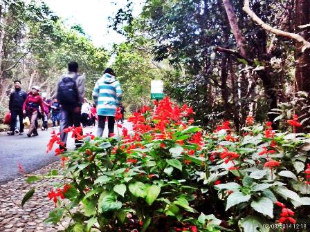  Y&ecirc;n Tử sẵn s&agrave;ng cho ng&agrave;y khai hội 6